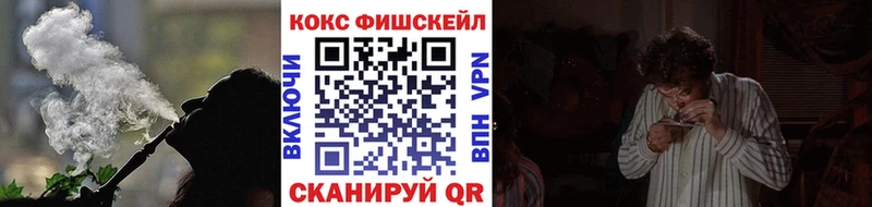 COCAIN FishScale Каменск-Шахтинский