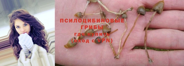 ALPHA PVP Балахна